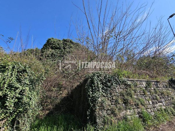 terreno agricolo in vendita ad Adrara San Martino