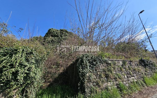 terreno agricolo in vendita ad Adrara San Martino