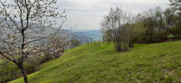 terreno agricolo in vendita ad Adrara San Martino