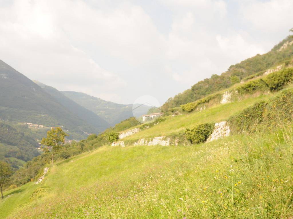 casa indipendente in vendita ad Adrara San Martino