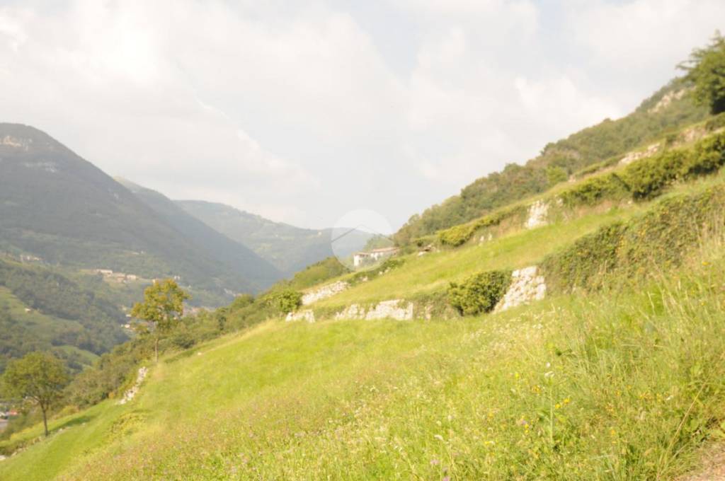 casa indipendente in vendita ad Adrara San Martino