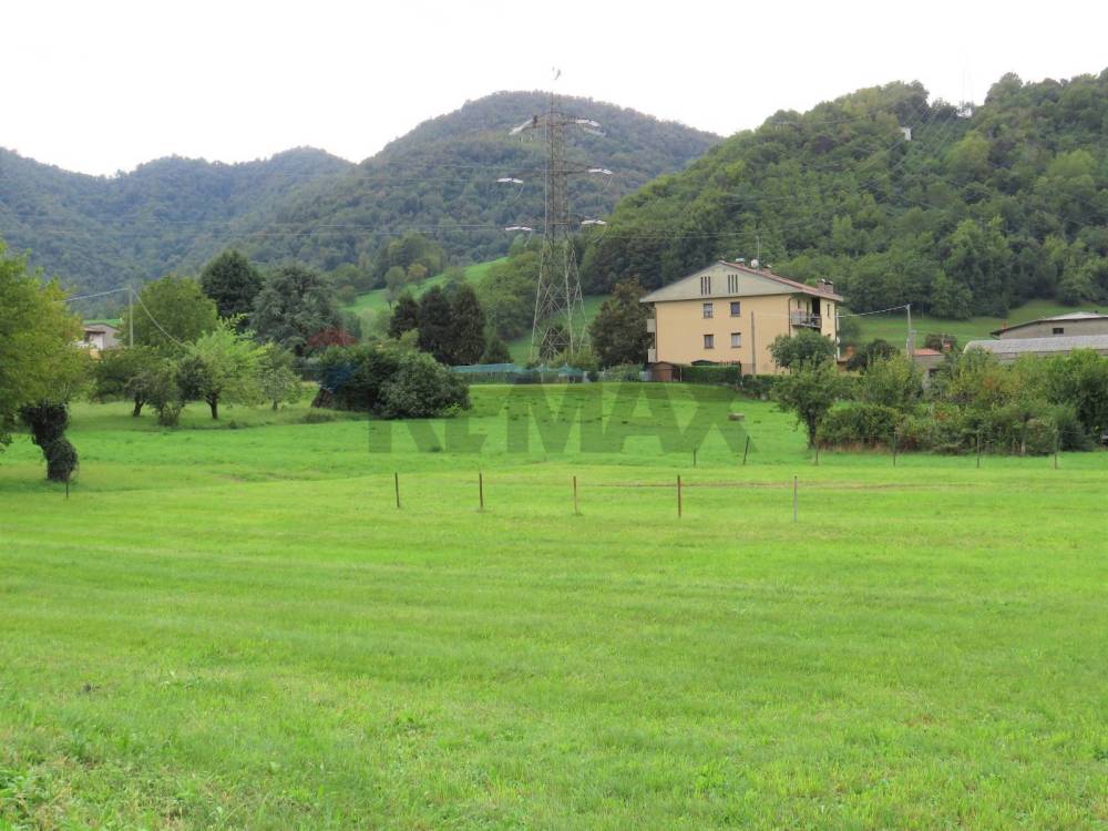 terreno agricolo in vendita ad Adrara San Martino