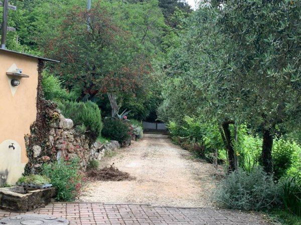 casa indipendente in vendita ad Adrara San Martino