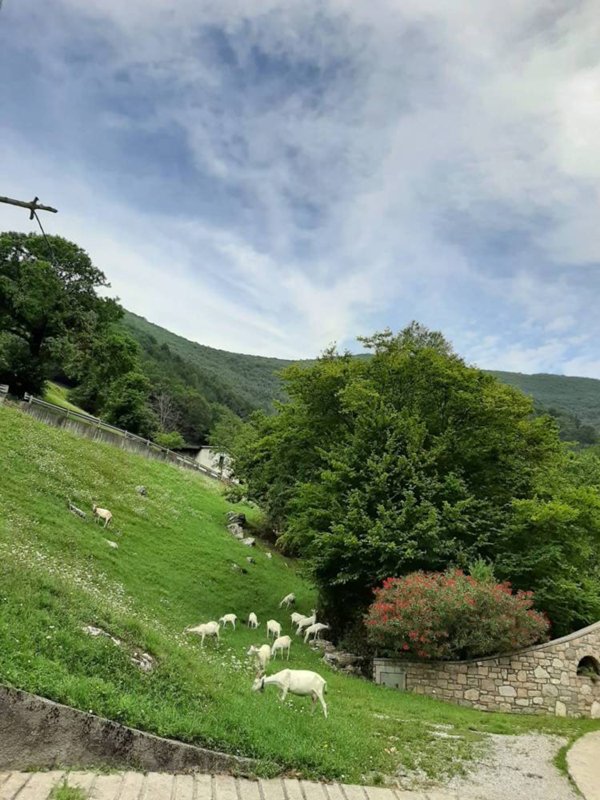 appartamento in vendita ad Adrara San Martino