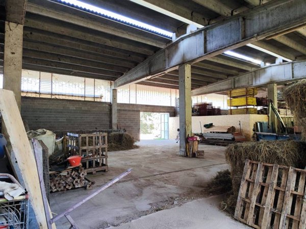 locale commerciale in vendita ad Adrara San Martino