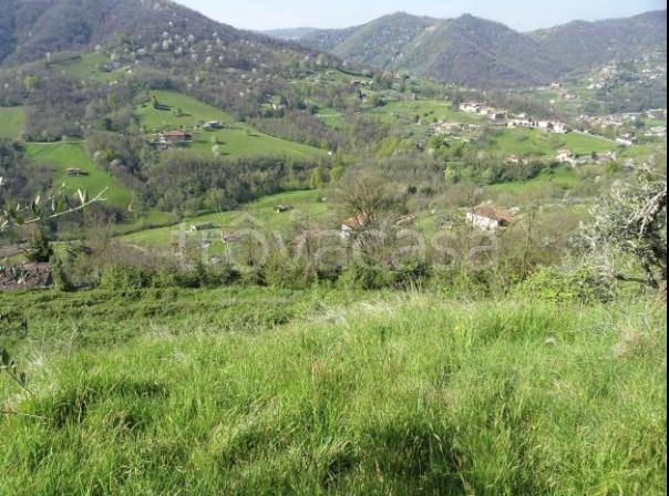 terreno agricolo in vendita ad Adrara San Martino