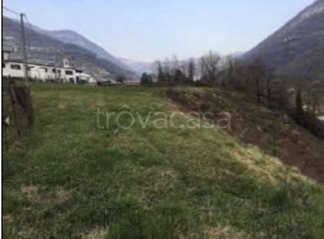 terreno agricolo in vendita ad Adrara San Martino