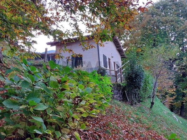 casa indipendente in vendita ad Adrara San Martino