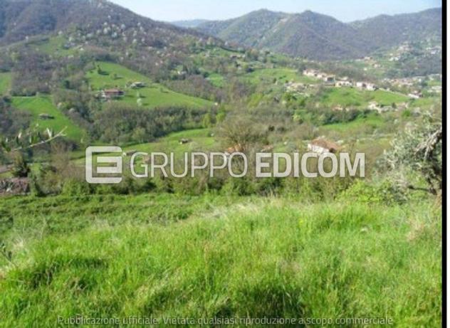 terreno agricolo in vendita ad Adrara San Martino