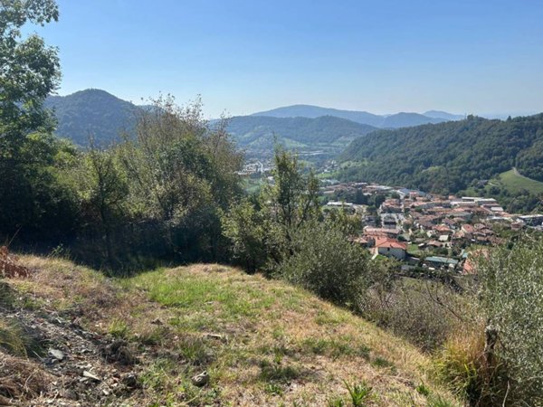 terreno agricolo in vendita ad Adrara San Martino