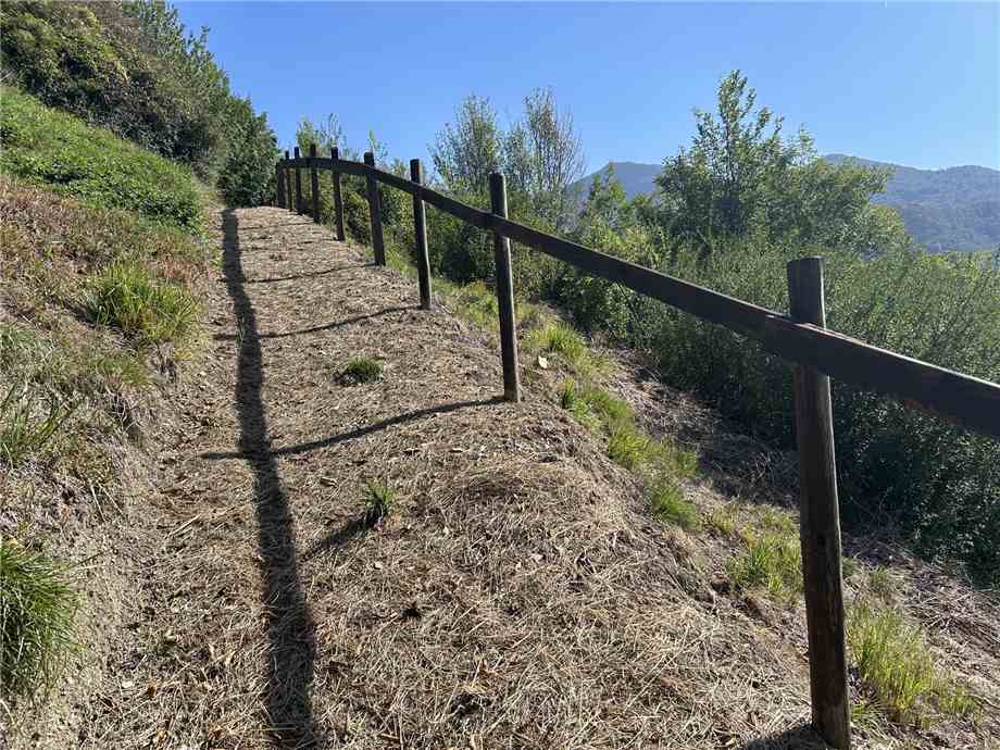 terreno agricolo in vendita ad Adrara San Martino
