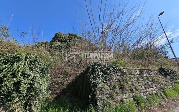 terreno agricolo in vendita ad Adrara San Martino