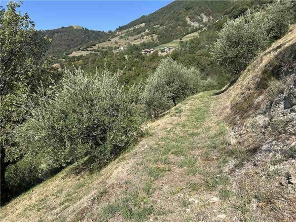 terreno in vendita ad Adrara San Martino