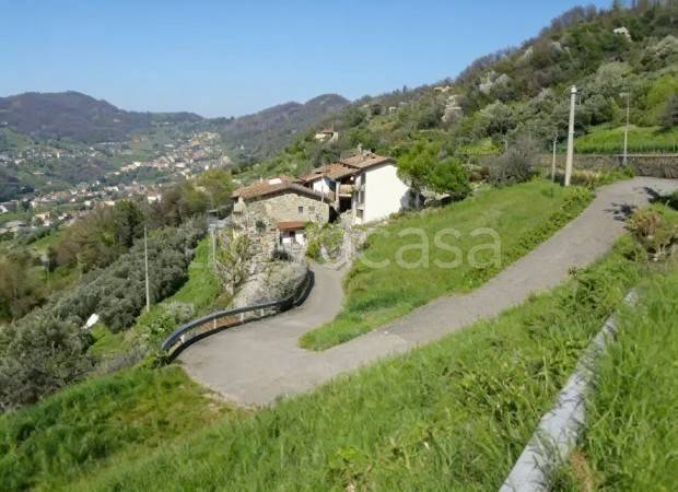 casa indipendente in vendita ad Adrara San Martino