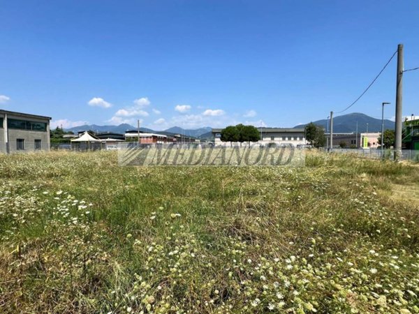 terreno agricolo in vendita ad Albano Sant'Alessandro