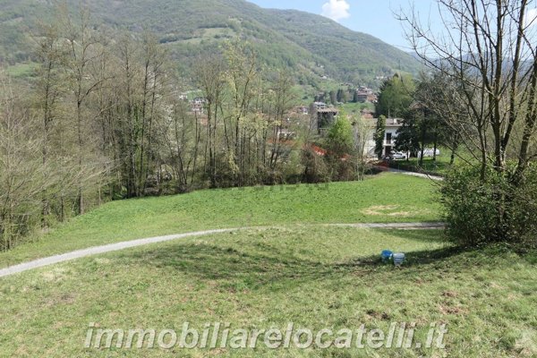 terreno agricolo in vendita ad Albino