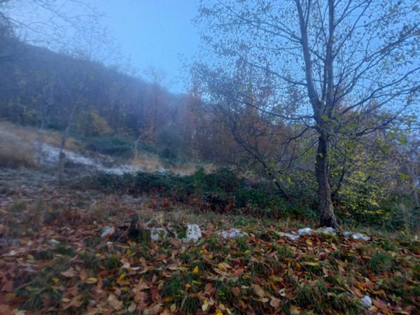 terreno agricolo in vendita ad Albino