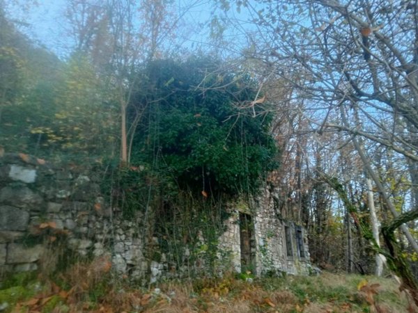 terreno agricolo in vendita ad Albino