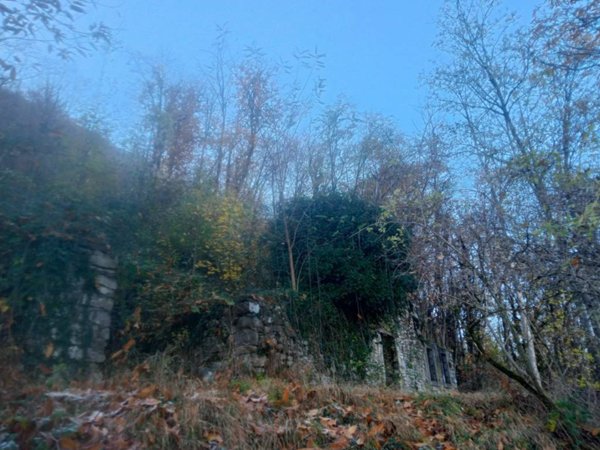 terreno agricolo in vendita ad Albino