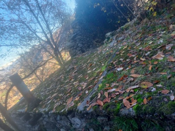 terreno agricolo in vendita ad Albino