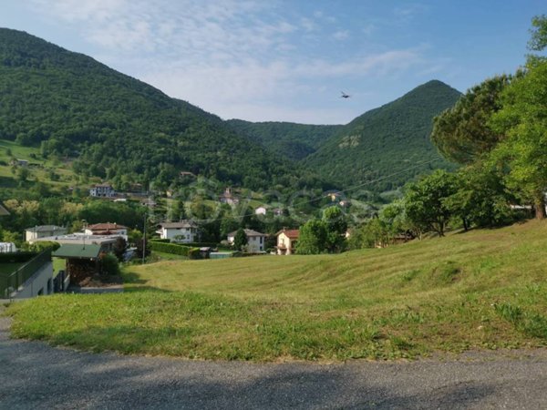 terreno agricolo in vendita ad Albino