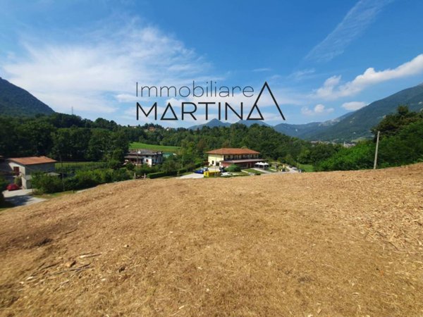 terreno agricolo in vendita ad Albino