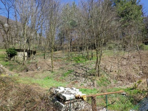 terreno agricolo in vendita ad Albino