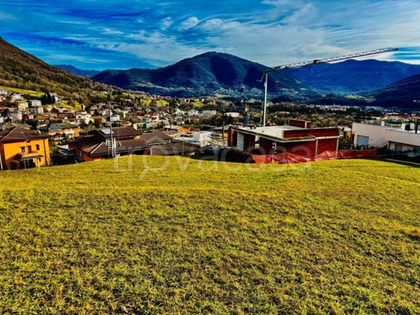 terreno agricolo in vendita ad Albino