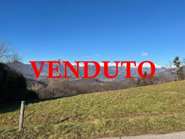 terreno agricolo in vendita ad Albino