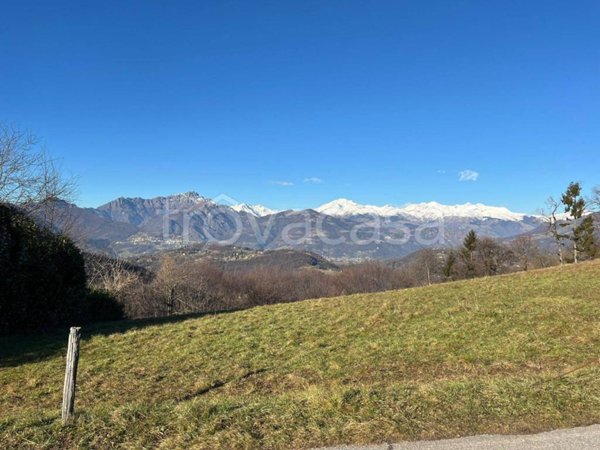 terreno agricolo in vendita ad Albino