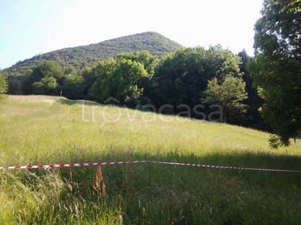 terreno agricolo in vendita ad Albino