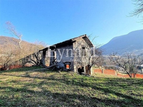 immagine annuncio 0 di 1