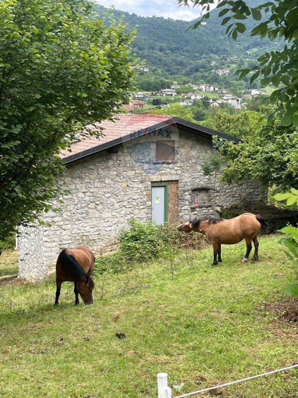 casa indipendente in vendita ad Albino