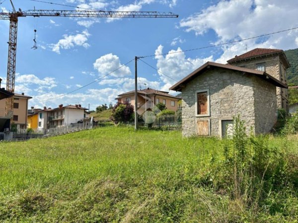 terreno agricolo in vendita ad Albino