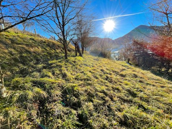 terreno agricolo in vendita ad Albino