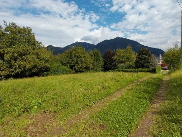 terreno agricolo in vendita ad Albino