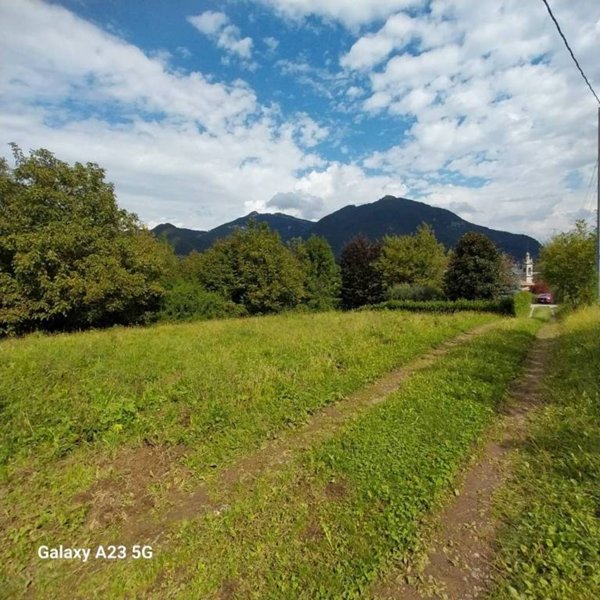terreno agricolo in vendita ad Albino