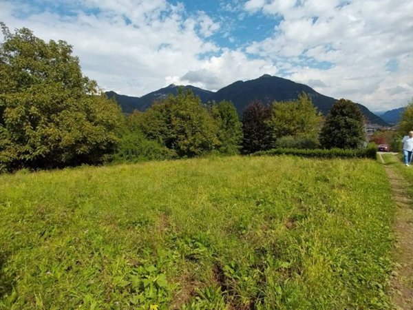 terreno agricolo in vendita ad Albino
