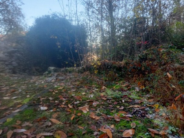 terreno agricolo in vendita ad Albino