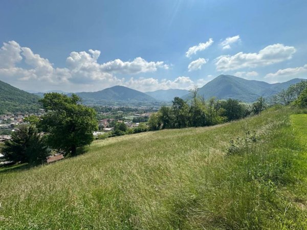 terreno agricolo in vendita ad Albino