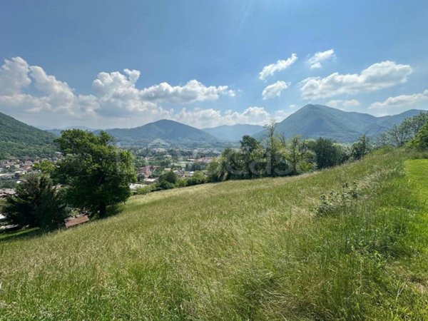 terreno agricolo in vendita ad Albino