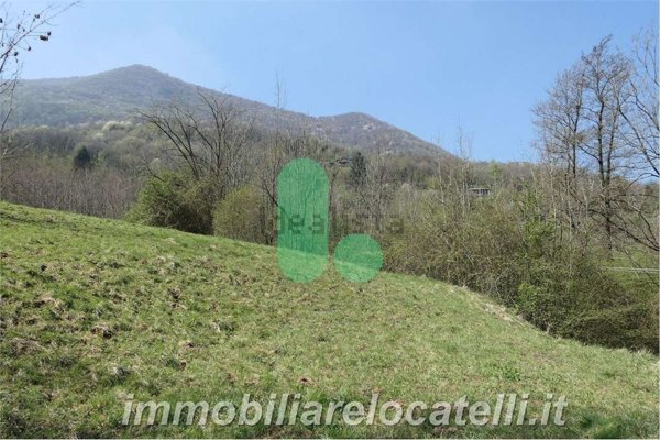 terreno agricolo in vendita ad Albino