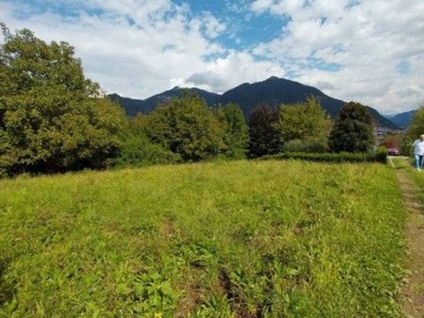 terreno agricolo in vendita ad Albino