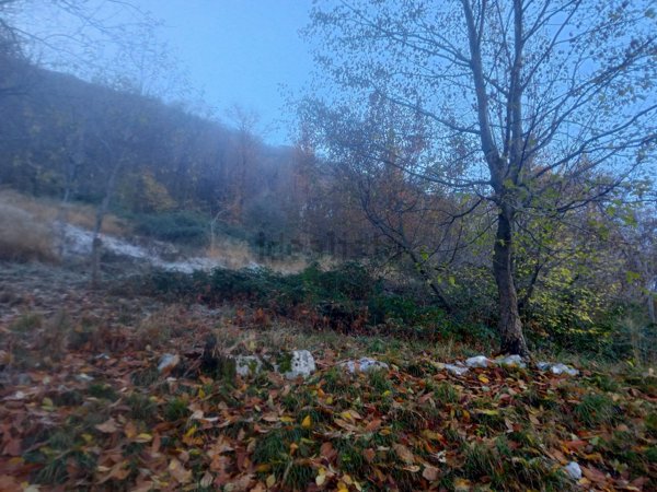 terreno in vendita ad Albino