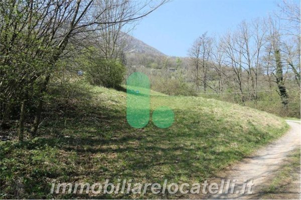 terreno agricolo in vendita ad Albino