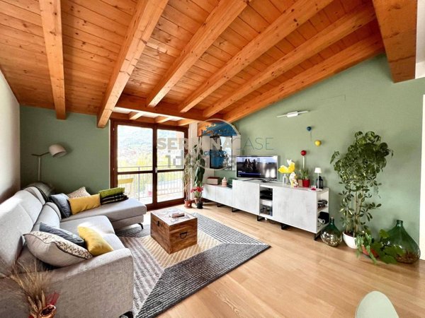 immagine annuncio 0 di 15