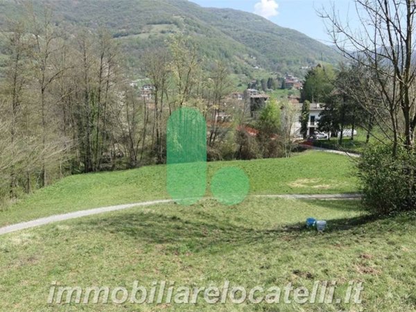 terreno agricolo in vendita ad Albino