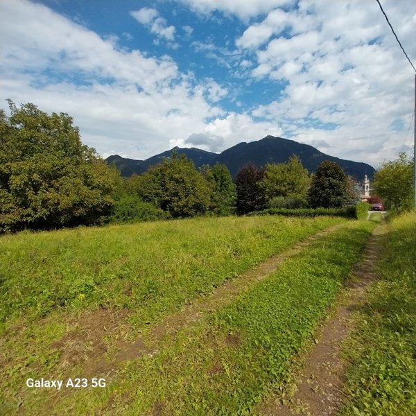 terreno agricolo in vendita ad Albino