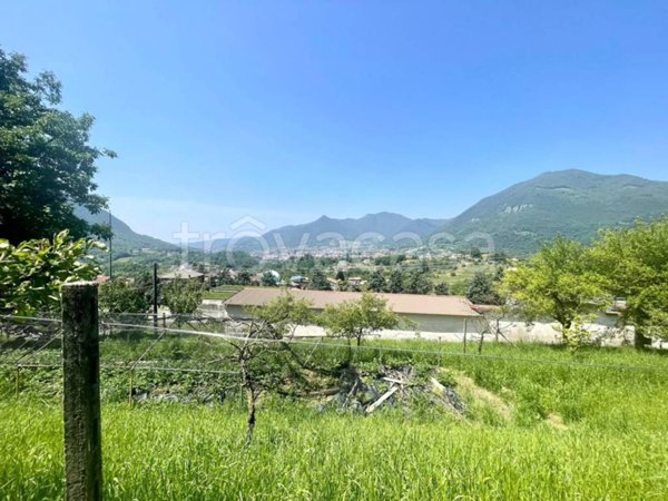 immagine annuncio 0 di 8