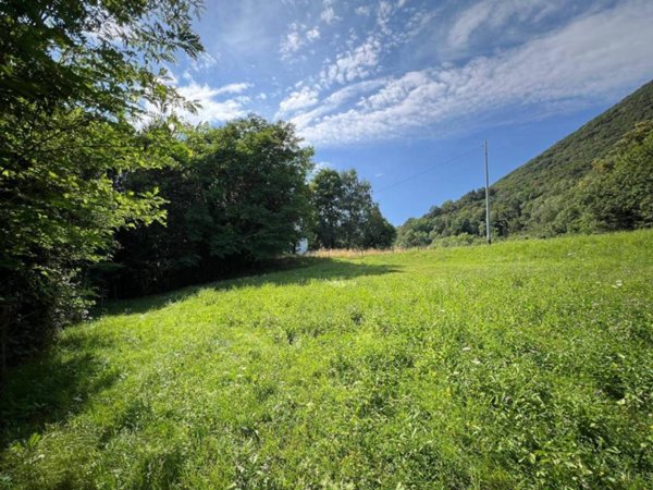 terreno agricolo in vendita ad Albino